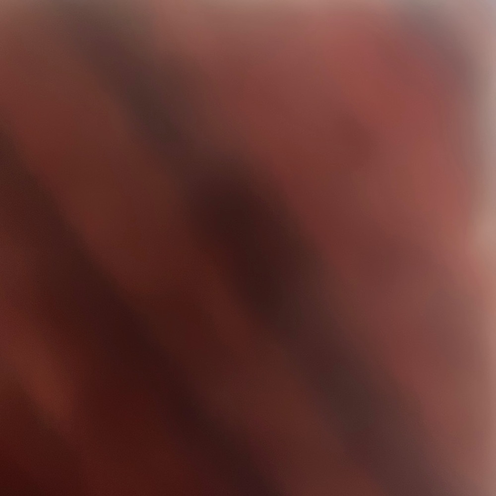 Sold- duplicate listing